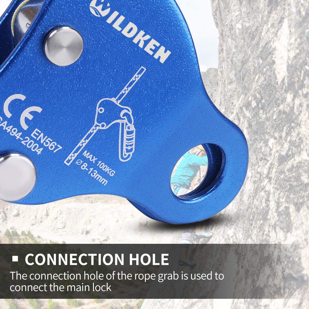 WILDKEN ascender in use by arborist illustrating safe positioning support