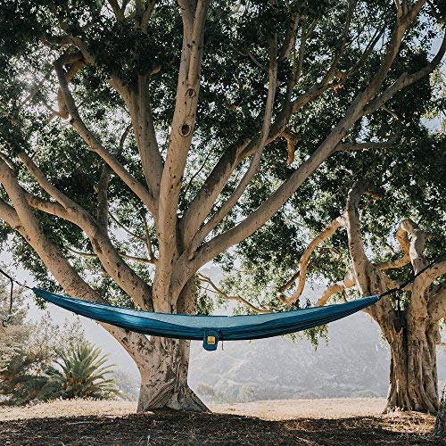 Wise Owl Outfitters tree straps with carabiners showing quick secure setup