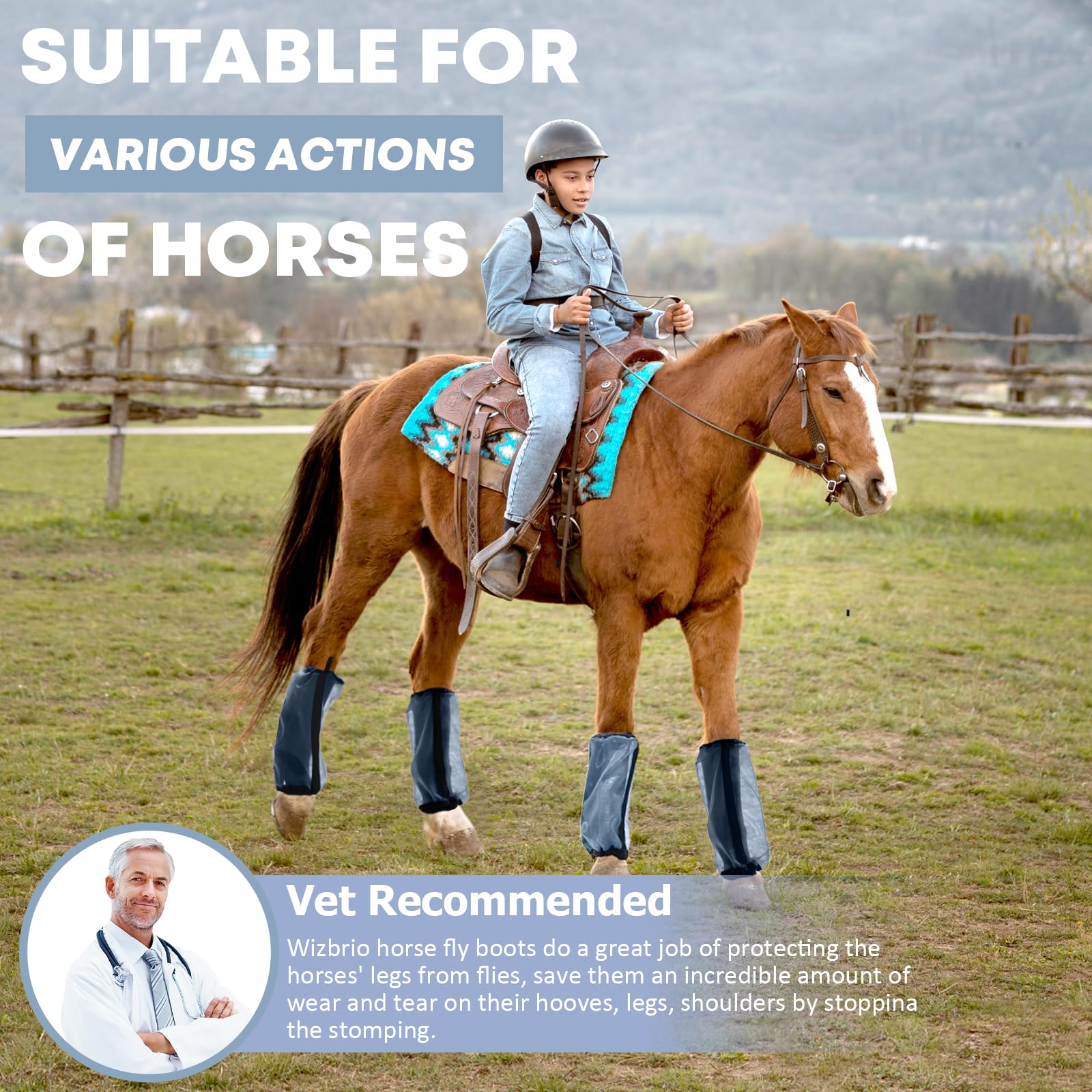 Wizbrio boots on a horse in stable illustrating everyday use